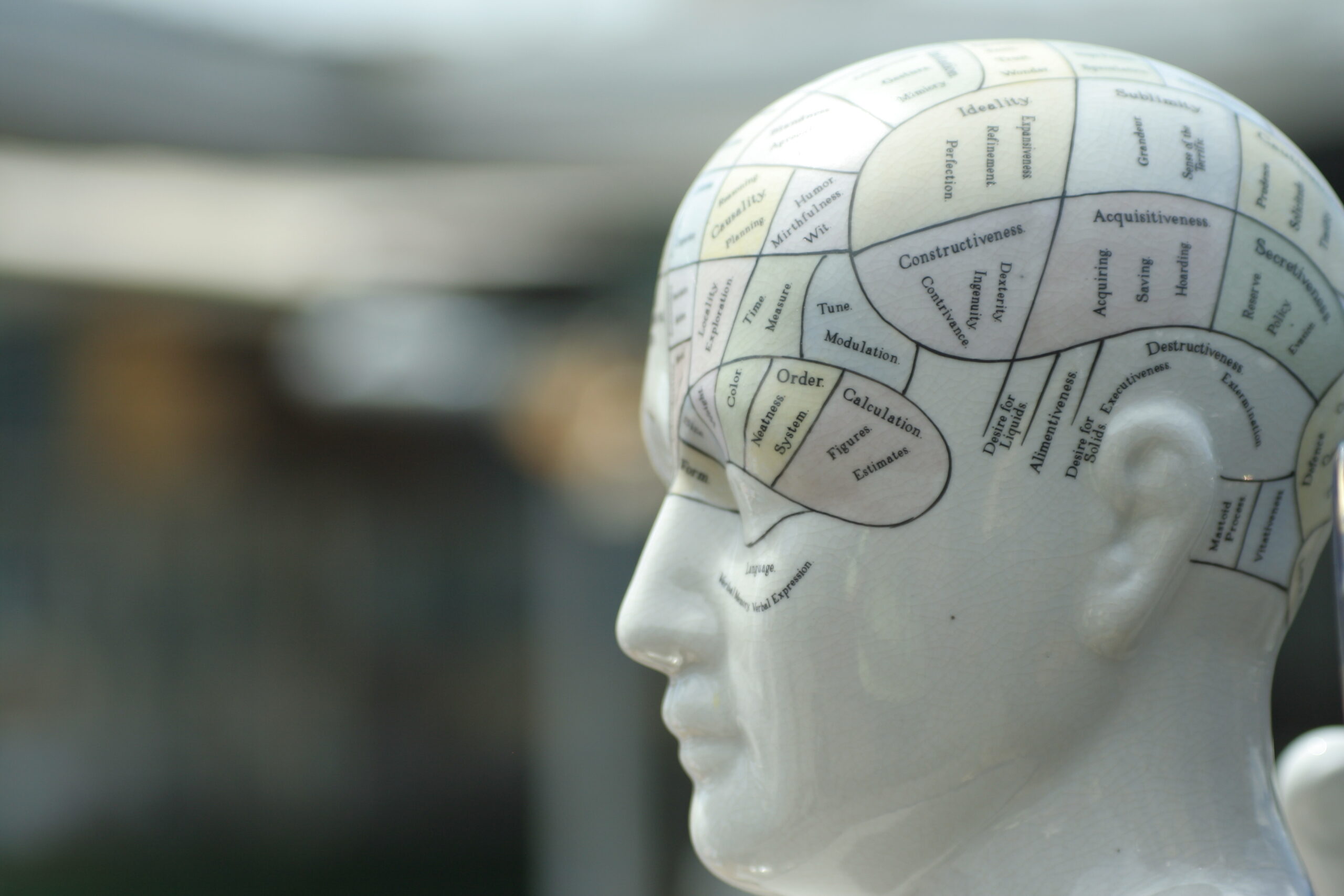 EQ versus IQ