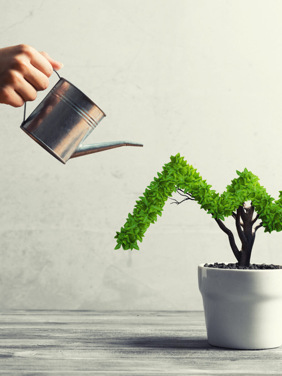 8 questions to ask that will help grow your business