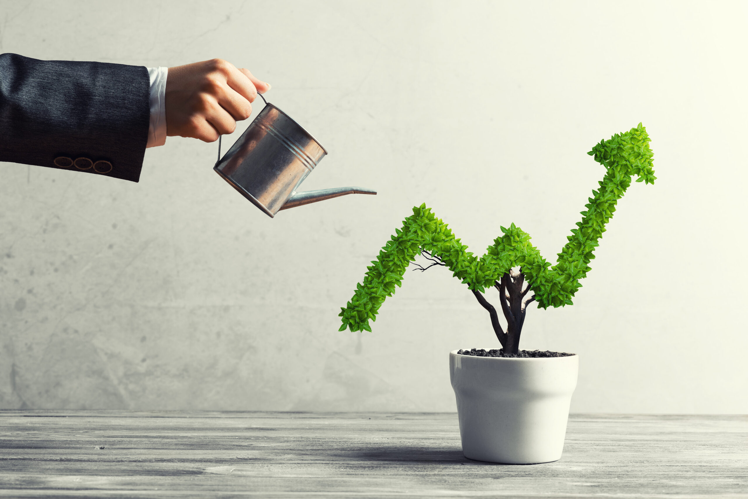 8 questions to ask that will help grow your business