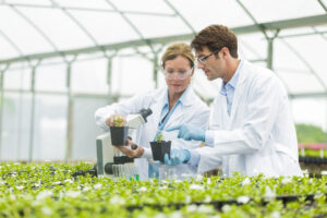 Two botanists in a life sciences lab
