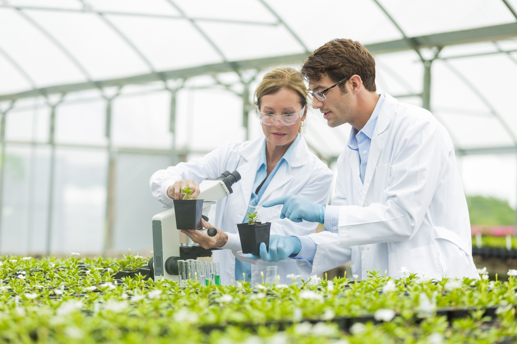 Two botanists in a life sciences lab